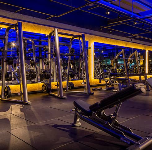 Equipamiento de musculación